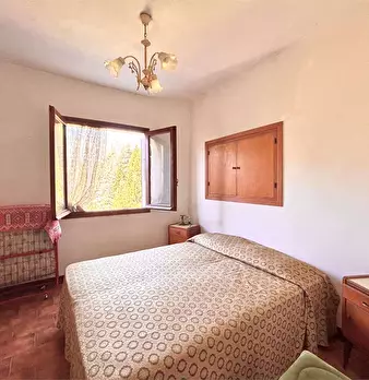 Foto annuncio 26