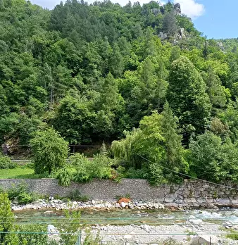 Foto annuncio 41