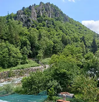 Foto annuncio 7