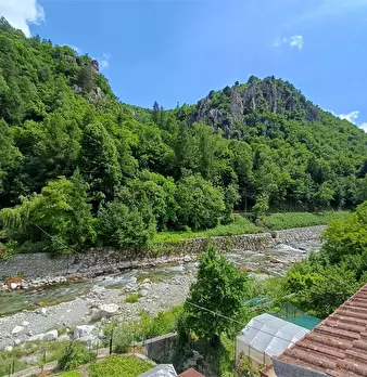 Foto annuncio 43