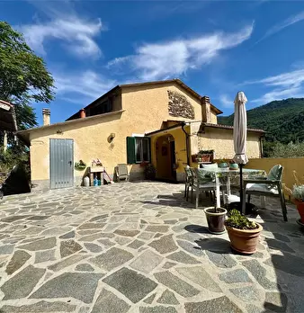 Foto annuncio 74