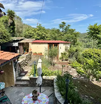 Foto annuncio 46
