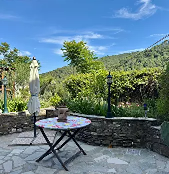 Foto annuncio 48
