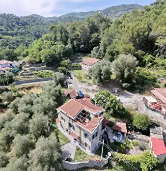 Foto annuncio 79