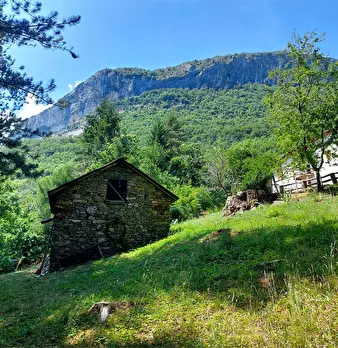 Foto annuncio 43