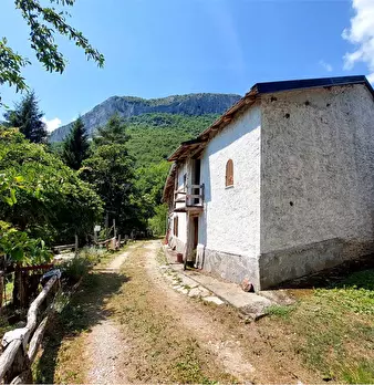 Foto annuncio 2