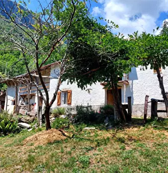 Foto annuncio 11