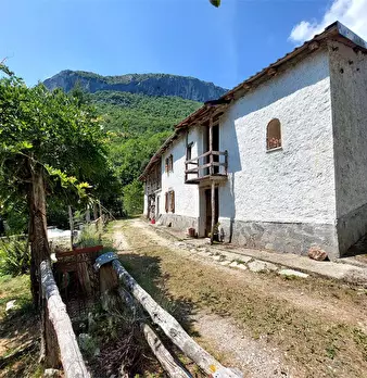 Foto annuncio 7