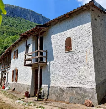 Foto annuncio 6