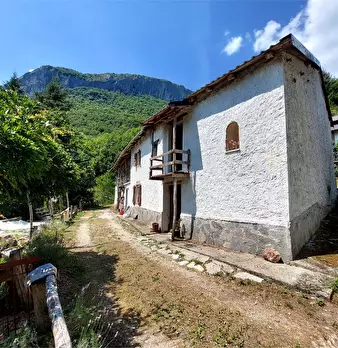 Foto annuncio 2
