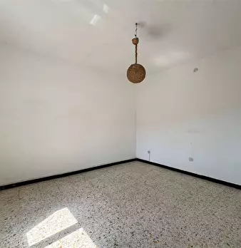 Foto annuncio 31