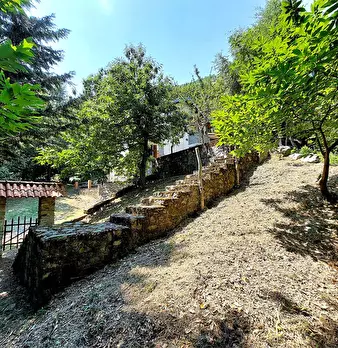 Foto annuncio 9