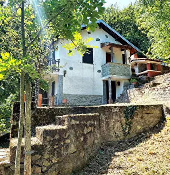 Foto annuncio 11
