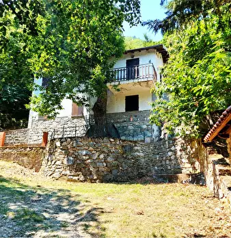Foto annuncio 8