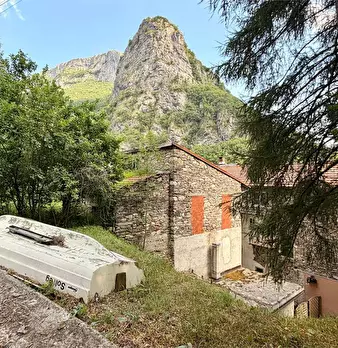 Foto annuncio 44