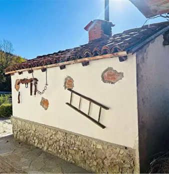 Foto annuncio 40