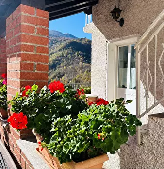 Foto annuncio 30