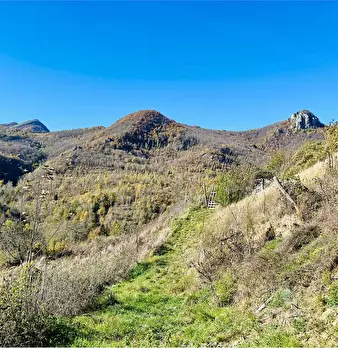 Foto annuncio 49