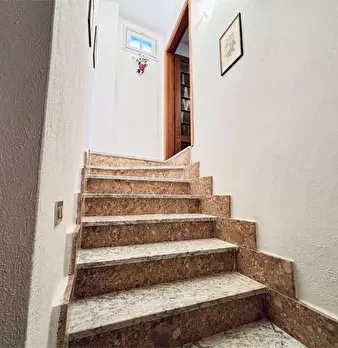 Foto annuncio 47