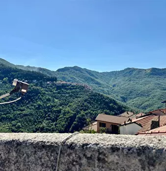 Foto annuncio 4
