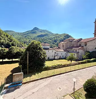 Foto annuncio 12