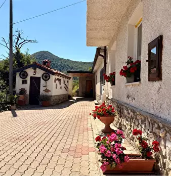 Foto annuncio 2