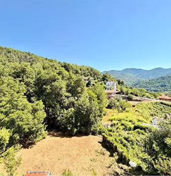 Foto annuncio 31