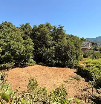 Foto annuncio 60