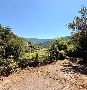 Foto annuncio 58