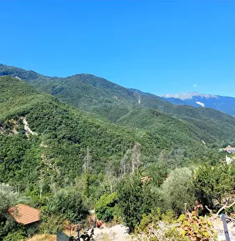 Foto annuncio 2
