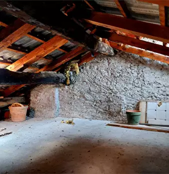Foto annuncio 29