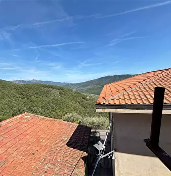 Foto annuncio 48