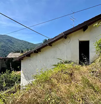 Foto annuncio 40