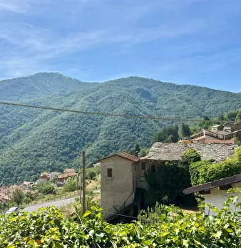 Foto annuncio 43