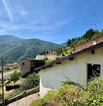 Foto annuncio 42
