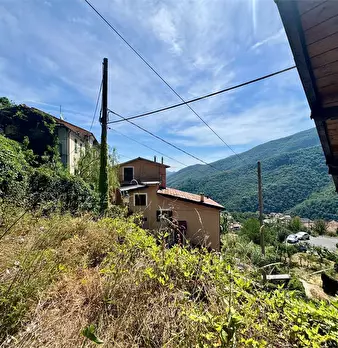 Foto annuncio 41