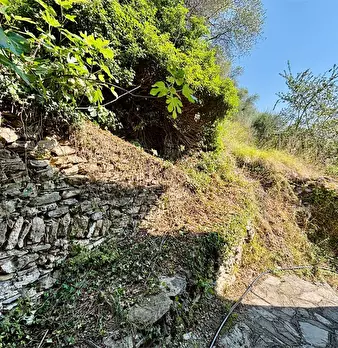 Foto annuncio 61