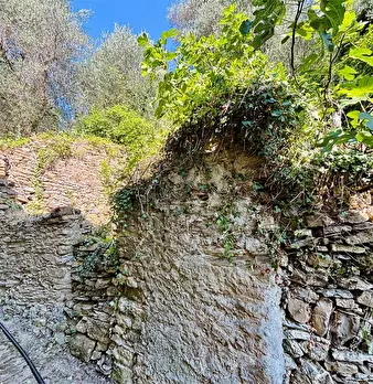 Foto annuncio 60