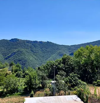 Foto annuncio 16