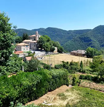 Foto annuncio 17