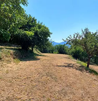 Foto annuncio 23