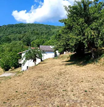 Foto annuncio 22