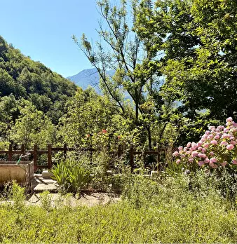 Foto annuncio 31
