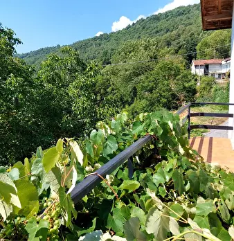 Foto annuncio 16