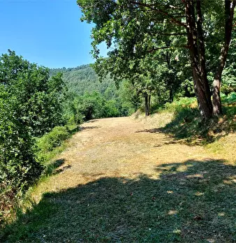 Foto annuncio 29