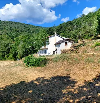 Foto annuncio 26