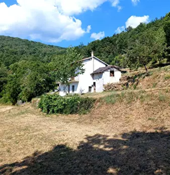 Foto annuncio 4