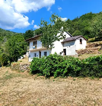 Foto annuncio 1