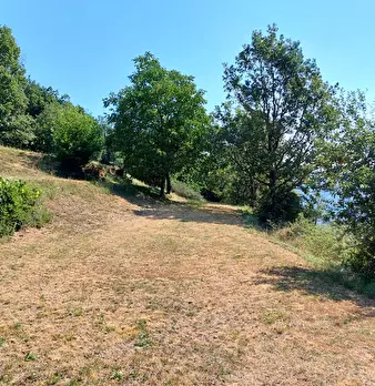 Foto annuncio 28