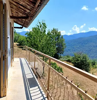 Foto annuncio 25